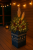 ChatGPT Image 10 lis 2025, 13_43_26.png